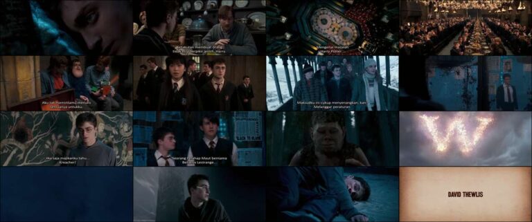 Harry Potter and the Order of the Phoenix (2007)