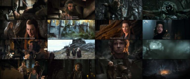 The Hobbit: The Desolation of Smaug (2013)